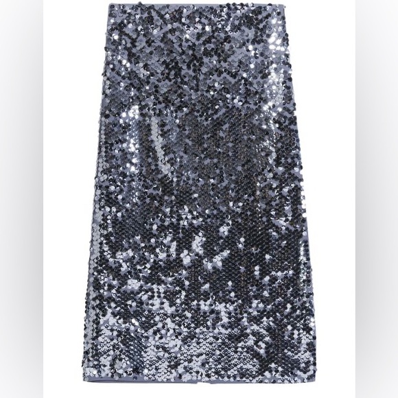 Sequin Skirt - Picture 11 of 12